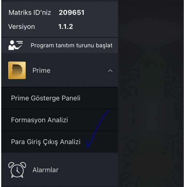 Matriks mobilde, para giriş ve çıkışı olan hisseleri nasıl görebilirim